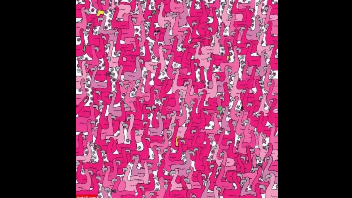 optical-illusion-spot-the-heart-among-flamingoes-in-under-10-seconds